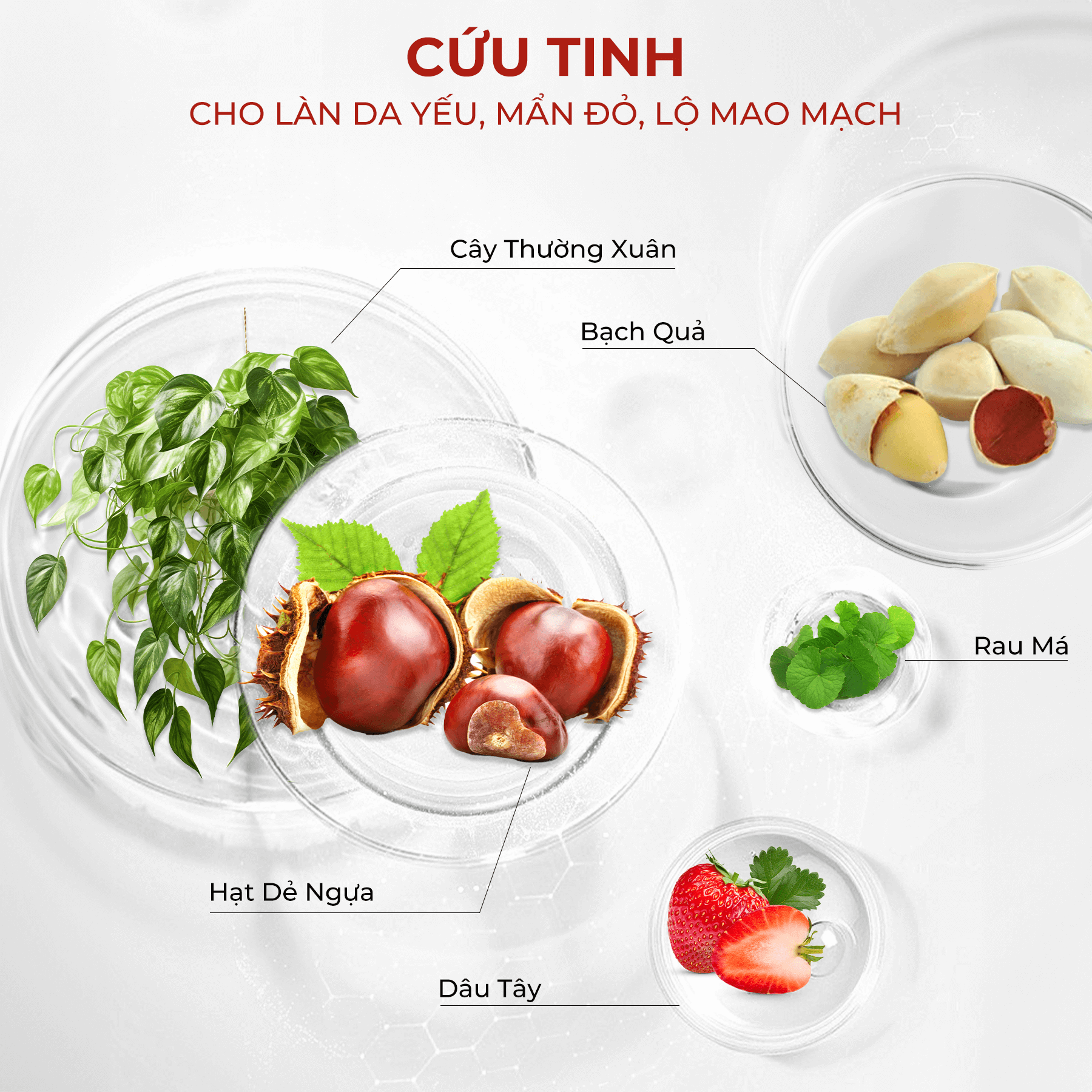 Nước Cân Bằng Chống Đỏ, Giảm Lộ Mao Mạch Trên Da Mincer Pharma Anti Redness Streghtening Face Toner 150ml