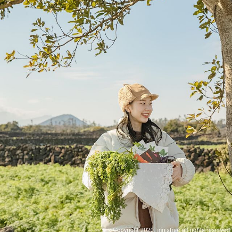 Mặt nạ giấy Innisfree Jeju Root Energy Mask 25ml