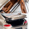 Mô hình xe Bentley Continental GT 2019 1:18 Norev Dark Cashmere Metallic (5)