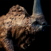 Mô hình tê giác khổng lồ cổ đại Elasmotherium 1:35 TNG