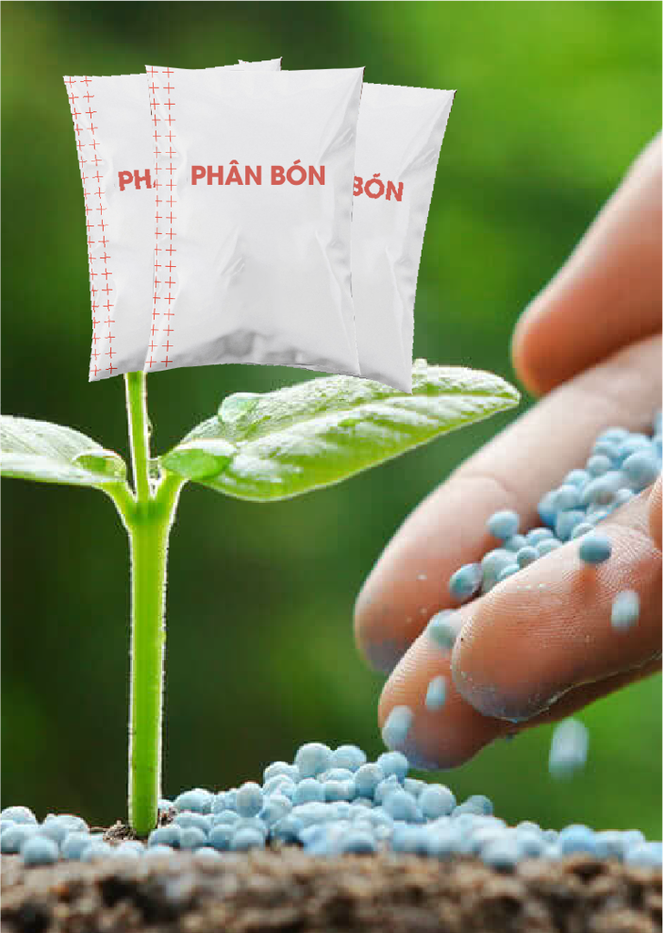  ĐĂNG KÝ PHÂN BÓN 