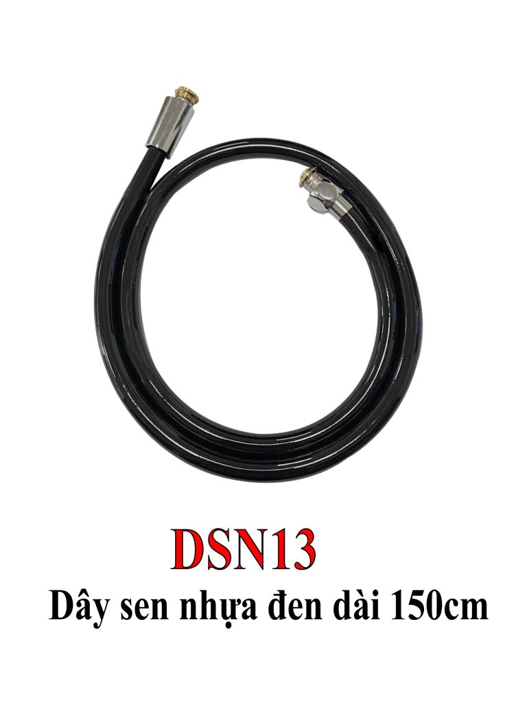  DÂY SEN DSN13 