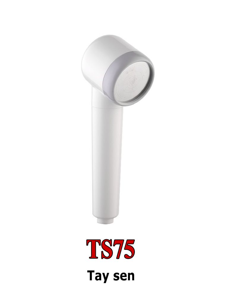 TAY SEN TS75