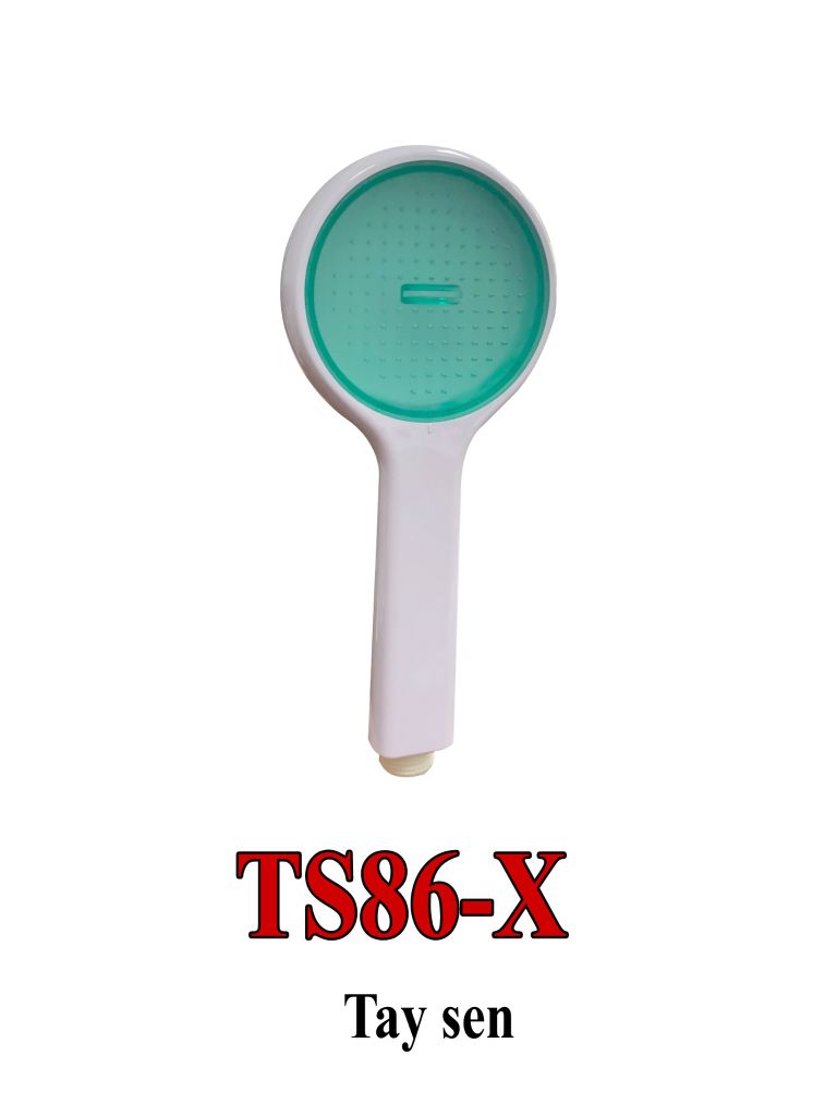 TS86-X