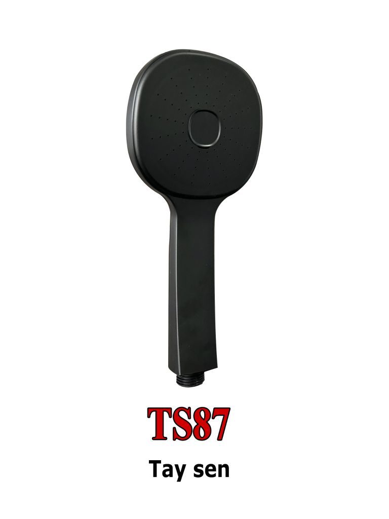 TAY SEN TS87