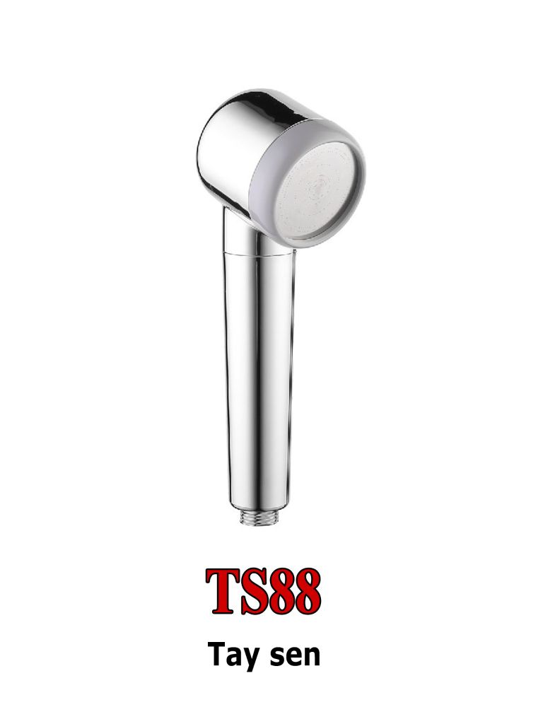 TAY SEN TS88