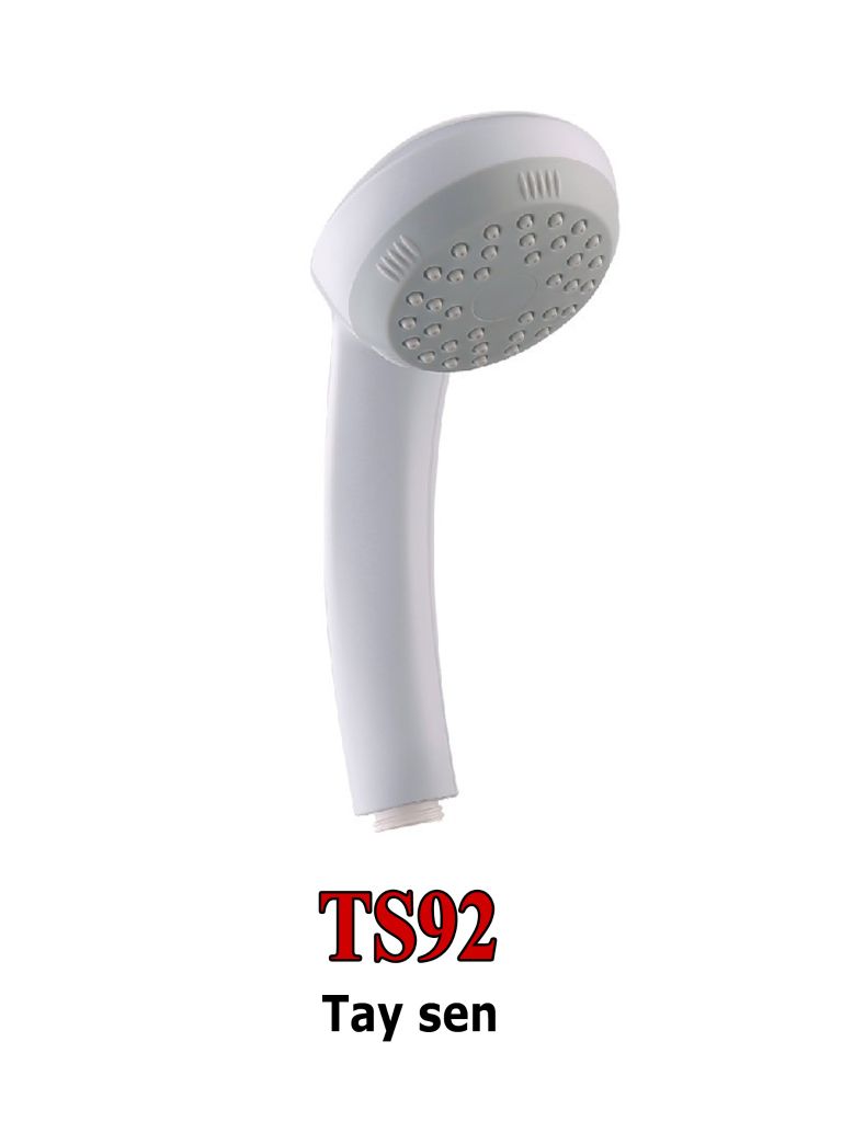  TAY SEN TS92 