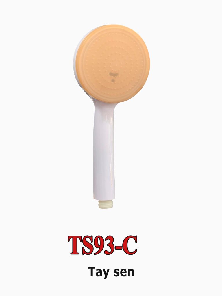 TS93-C