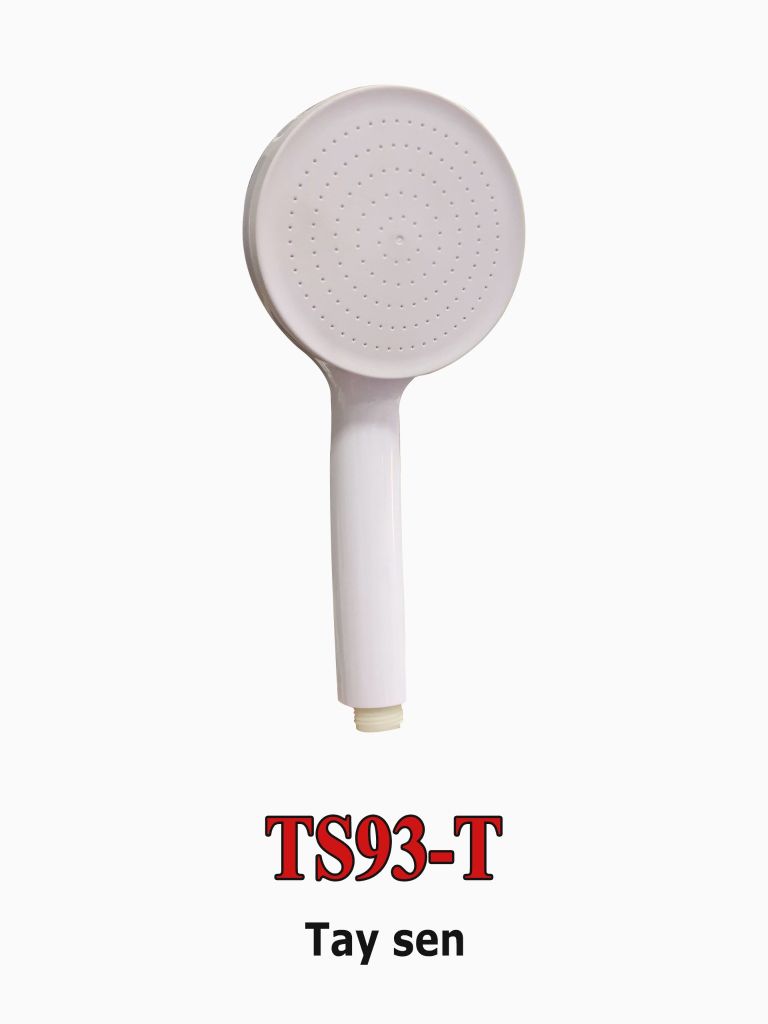 TS93-T