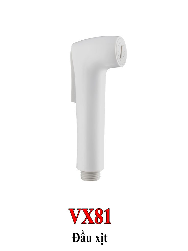  ĐẦU XỊT VX81 