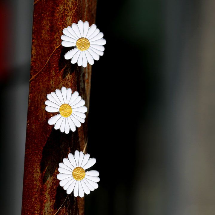 Combo 2 cài áo daisy