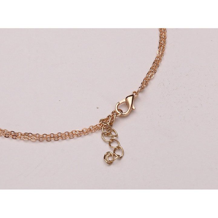 Bộ kiềng và vòng cổ địa cầu