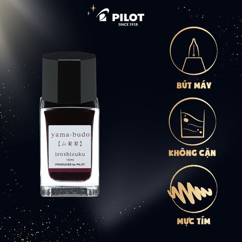 Mực bút máy mực tim YB (15ml) INK-15-YB