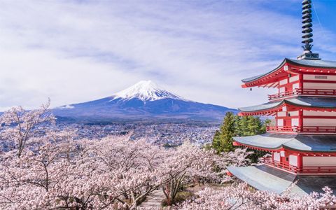 Con đường vàng Nhật Bản - OSAKA - KOBE  - KYOTO - FUJI MOUNTAIN - YAMANSHI - TOKYO - Thời gian:  6 Ngày / 5 Đêm