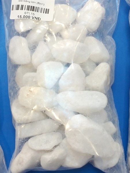 Sỏi trắng lớn