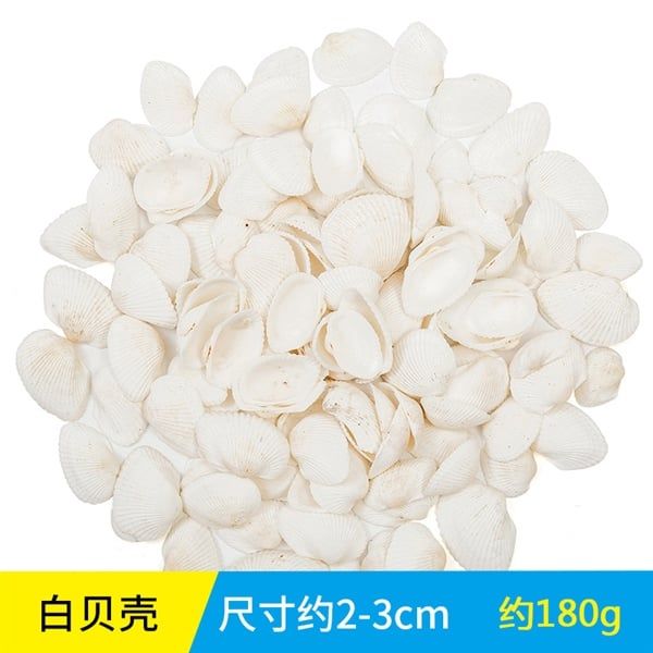 CHARM Vỏ Xò