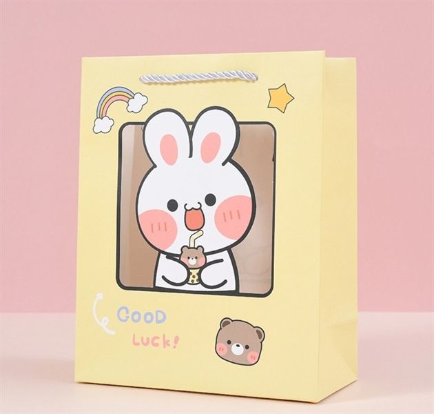 Túi giấy đựng quà 19.5x9.5x24.5cm