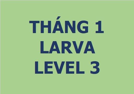 Lớp vẽ trung cấp I - Tháng 1 - Level 3
