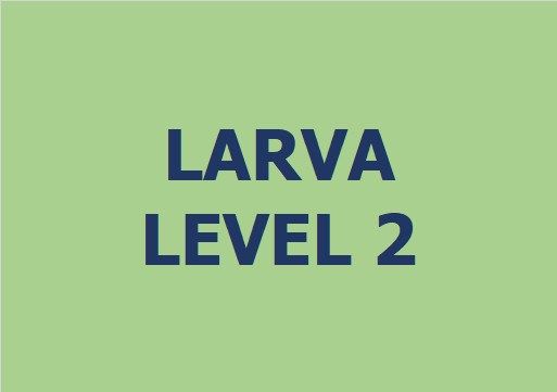Lớp vẽ trung cấp I - Level 2