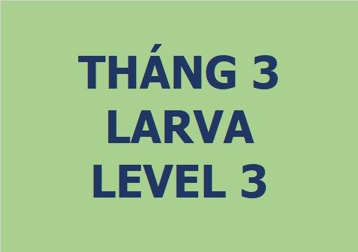 Lớp vẽ trung cấp I - Tháng 3 - Level 3