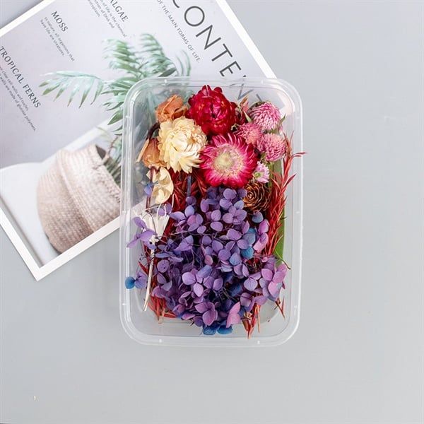 Set Hoa Khô Hộp Hoa Tím
