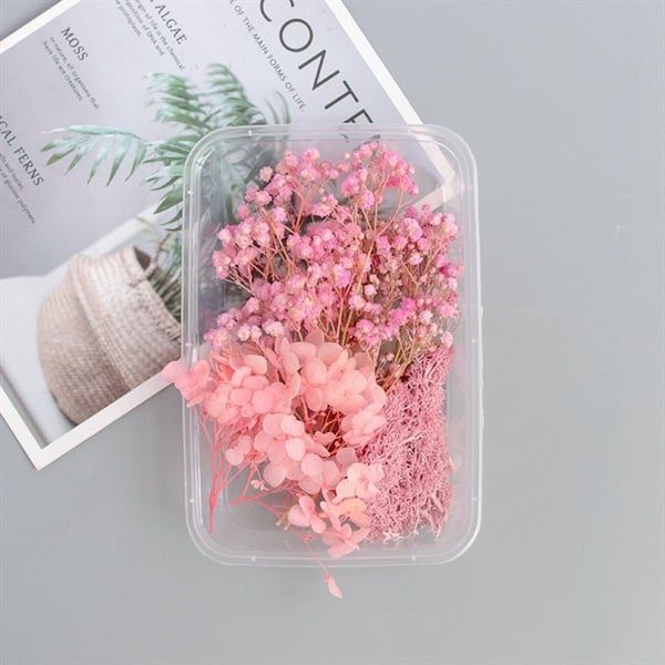 Set Hoa Khô Hộp Màu Hồng Nhí