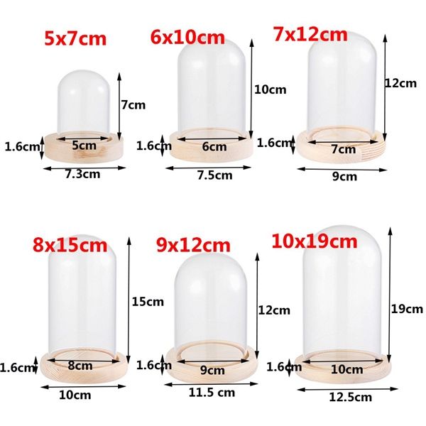 Chụp thủy tinh đế gỗ hình trụ 10x18