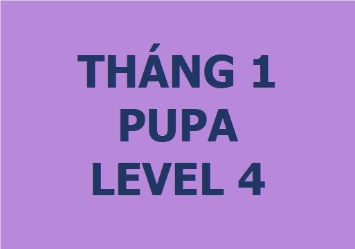 Lớp vẽ trung cấp II - Tháng 1 - Level 4