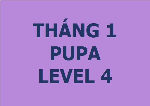 Lớp vẽ trung cấp II - Tháng 1 - Level 4