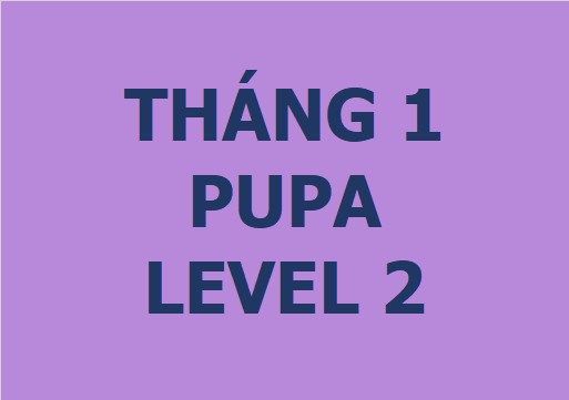 Lớp vẽ trung cấp II - Tháng 1 - Level 2