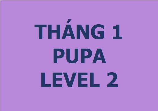 Lớp vẽ trung cấp II - Tháng 1 - Level 2