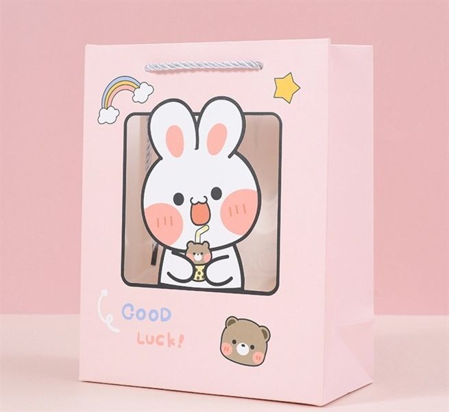 Túi giấy đựng quà 19.5x9.5x24.5cm