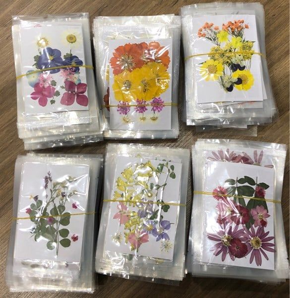 Set hoa khô 12 pcs