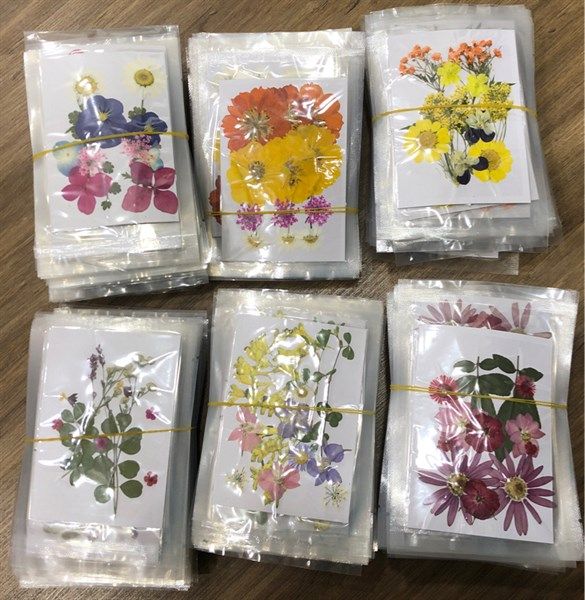 Set hoa khô 12 pcs