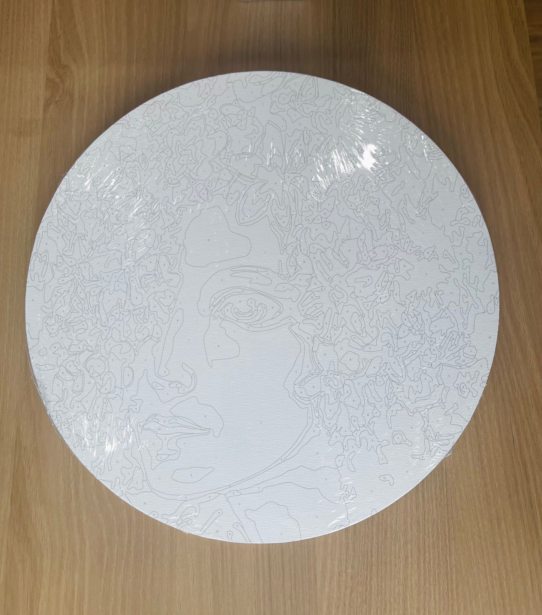 Tranh Tô Màu Số Hoá Pretty Girl 30CM-Colormate