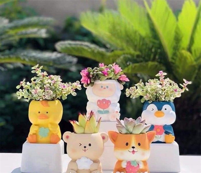 Chậu sen đá hình thú