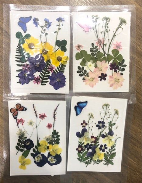 Set hoa khô có bướm