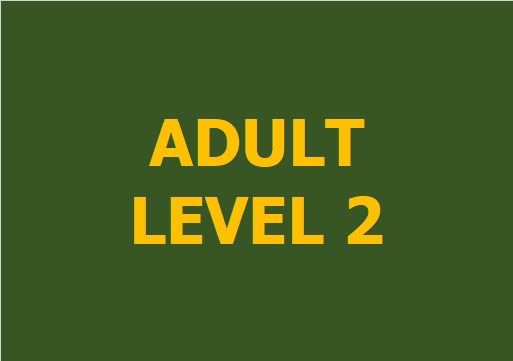 Lớp vẽ nâng cao - Level 2