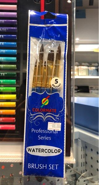 Bộ 5 cây cọ vẽ màu nước