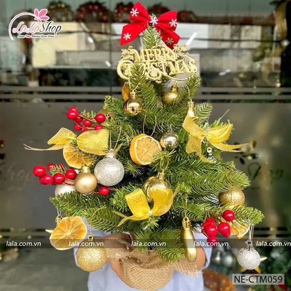 Cây thông Noel lá PE trái đỏ 45cm sắc vàng