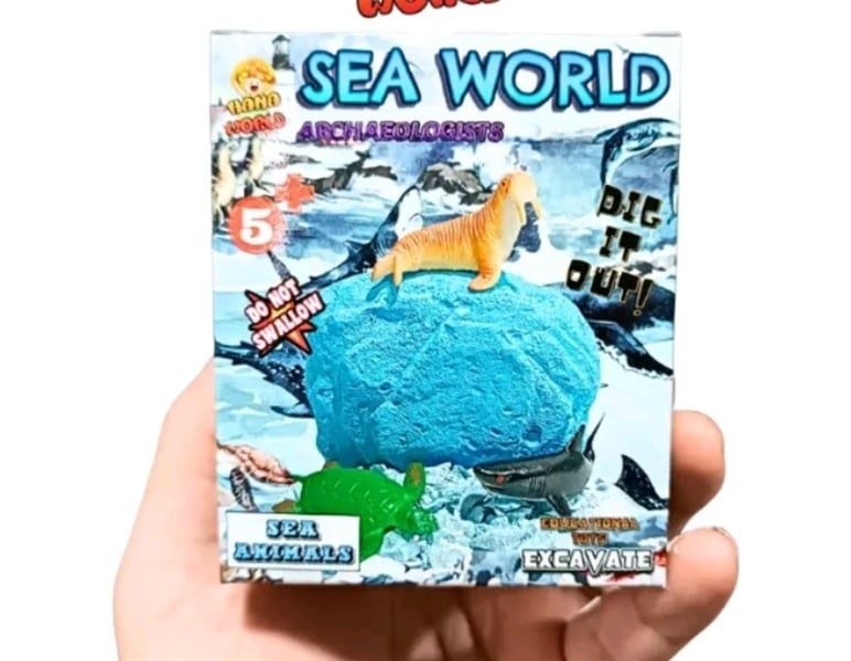 SINH VẬT BIỂN (Sea World)