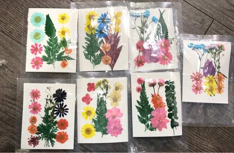 Set hoa khô 10 pcs