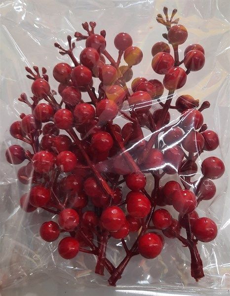 10 cảnh đào đông trang trí