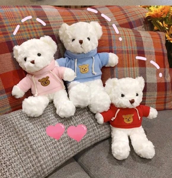 Gấu Bông Teddy 30cm