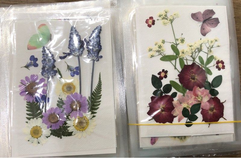 Set hoa khô có bướm