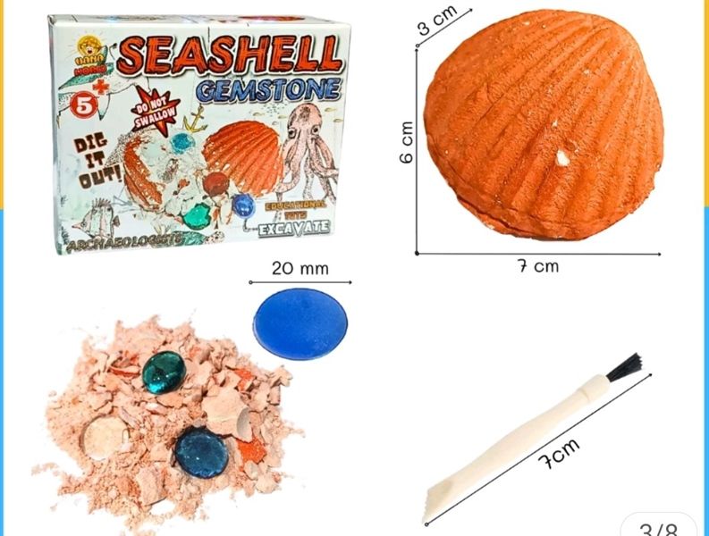 SÒ CAM ĐÁ QUÝ (Seashell Gemstone)