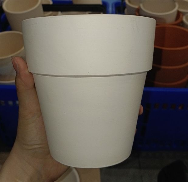 CDN TRẮNG 4 - 13x13