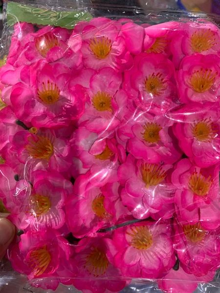 Hoa Tết vải bịch