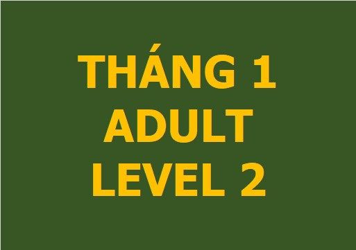 Lớp vẽ nâng cao - Tháng 1 - Level 2