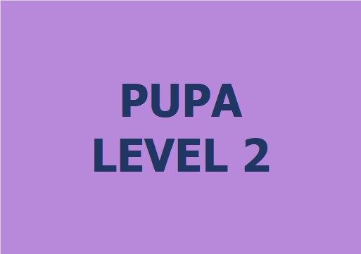 Lớp vẽ trung cấp II - Level 2